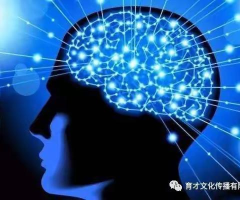 卓人艺术“全脑记忆”暑假班开始招生报名啦！