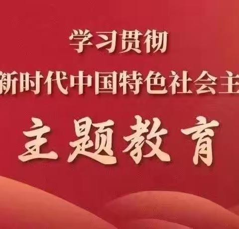 学习贯彻新时代中国特色社会主义主题教育