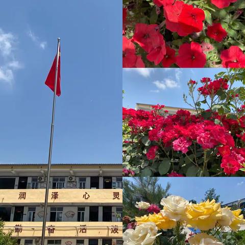 乘众人之智，则无不任也——记赵村乡中心小学语文教研活动
