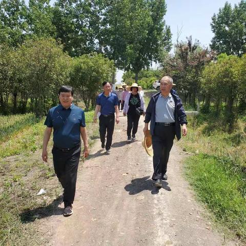 省植保站副站长韩世平一行到宝丰县调查小麦病虫害发病情况