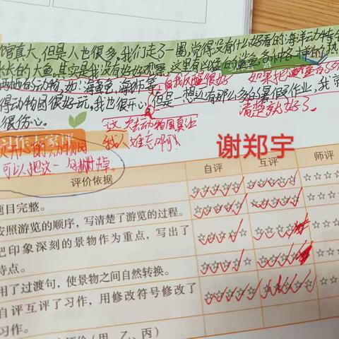 支架习作手册自评互评，做个客观的小评委