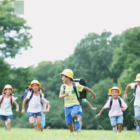 “托托洛自然夏令营：让孩子与自然一起成长”