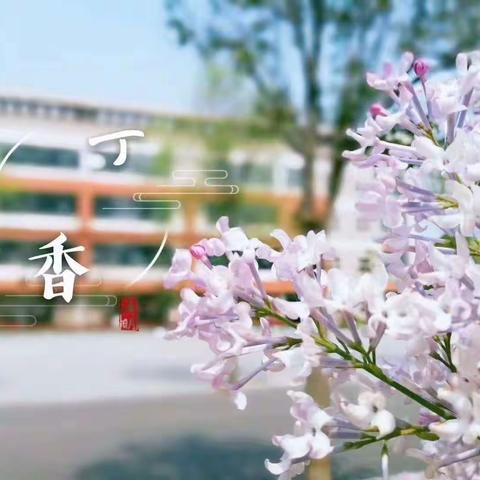 阅读丰底蕴  书香蕴心灵——梁山县二实小教育集团第四实验小学图书借阅活动