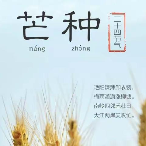 愿你所种，皆有所得——“芒种”张庄镇中心幼儿园