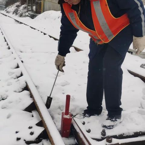 雪地里滚烫的足迹