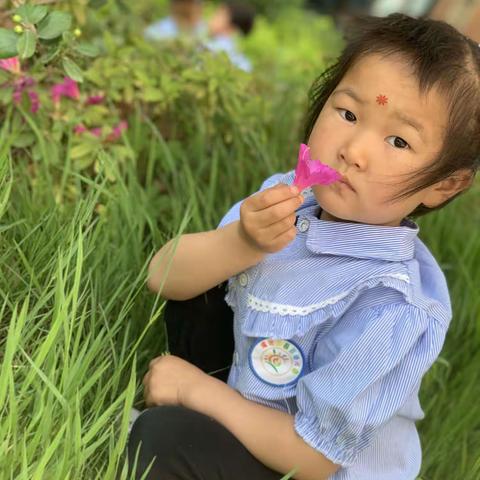 “神奇植物拓染   拓出永不凋零的夏日”﻿———   渑池县县直幼儿园山水秀庭分园小三班主题活动