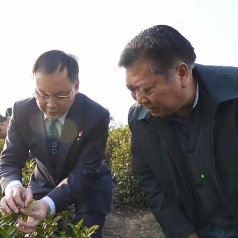 架普惠桥梁 绘乡村蓝图                  —溧阳支行公司客户经理薛小平