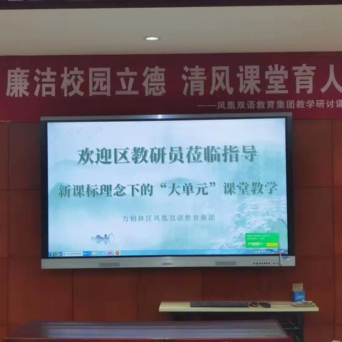 聚焦课标新视角，专家下校指迷津——区教研员莅临指导 新课标理念下的“大单元”课堂教学