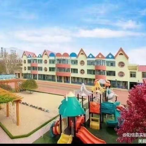 实验幼儿园中班组“园本课程”教研活动