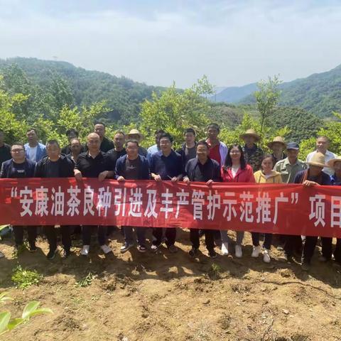 推动油茶提质增效 助力林农致富增收