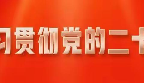 学习二十大，争做新时代好少年——南厂小学五一中队活动记录