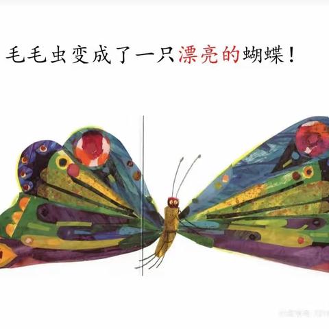 【桃幼享听】桃幼老师讲故事《好饿的毛毛虫》