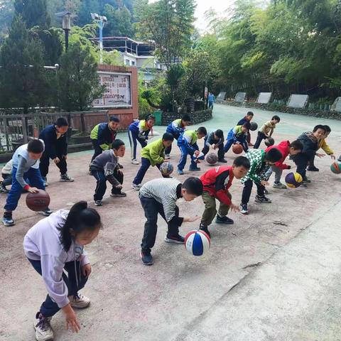 放飞梦想，起锚远航—佐龙小学篮球社团汇报