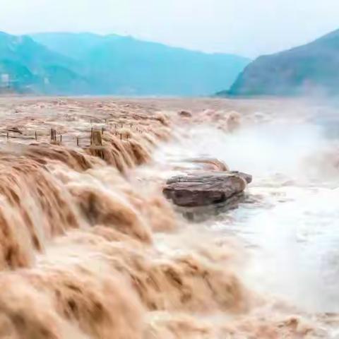 观黄河寻根溯史，晓华夏源远流长。——濮阳市油田第五中学七年级二班研学纪实