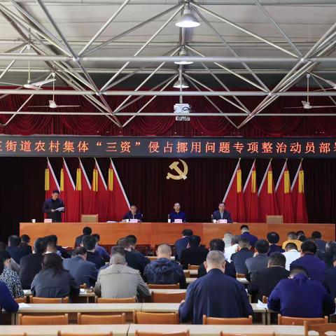 唐王街道召开农村集体“三资”侵占挪用问题专项整治动员部署会议