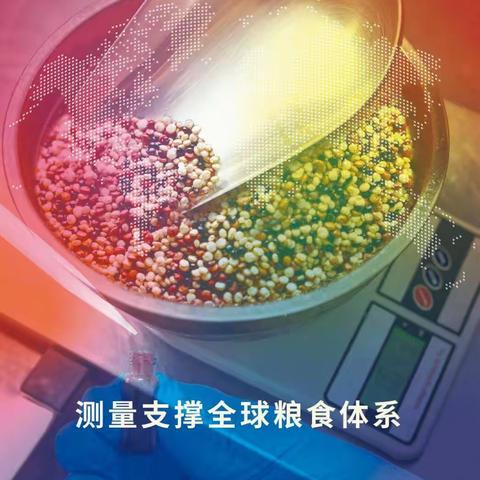 5.20世界计量日—测量支撑全球粮食体系