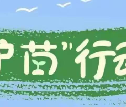 以爱“育”苗，携手共进——周家地小学“家庭教育 护苗行动”大讲堂线下纪实