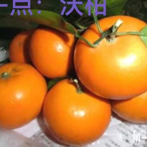 舌尖美味    食材先行