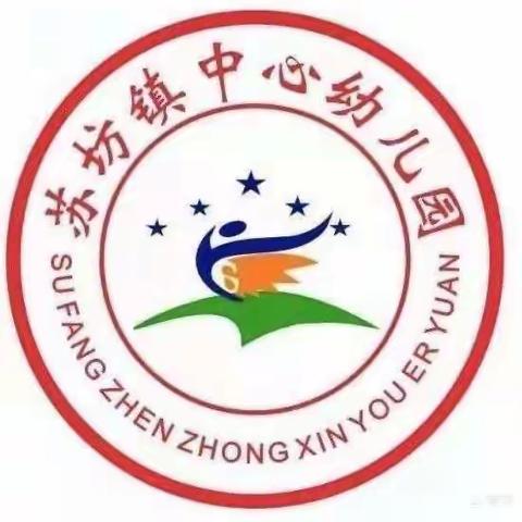 聚焦半日，共同成长——武功县苏坊镇中心幼儿园教师“半日活动设计”技能考核