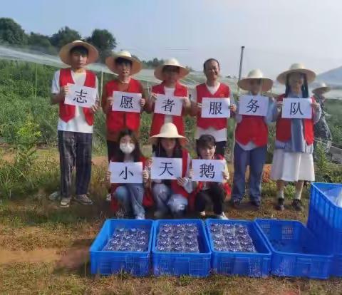 小天鹅助农 点滴暖民心