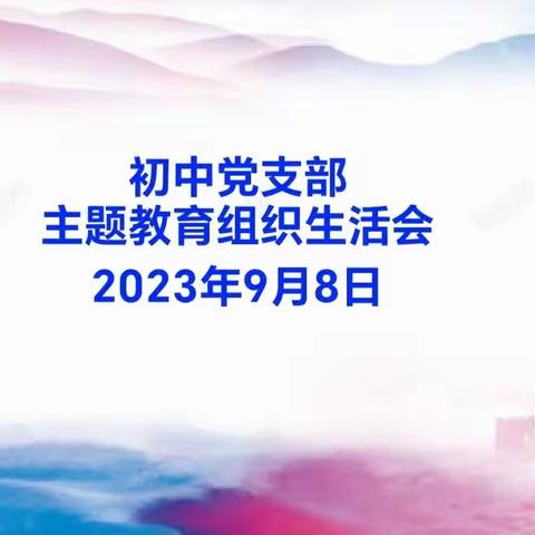 海南师范大学附属中学初中党支部主题教育组织生活会