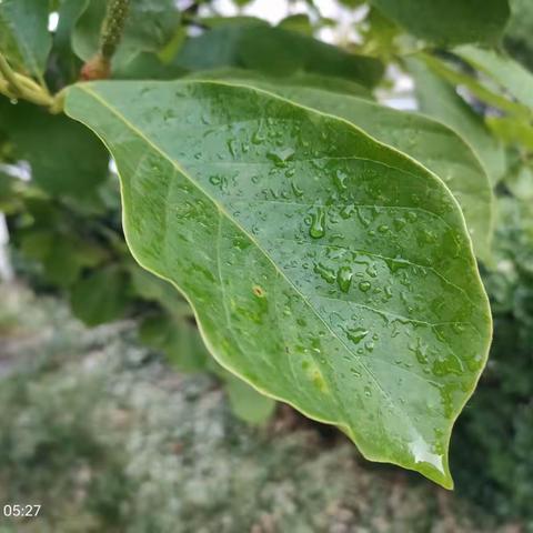 雨后静思——神定与神散