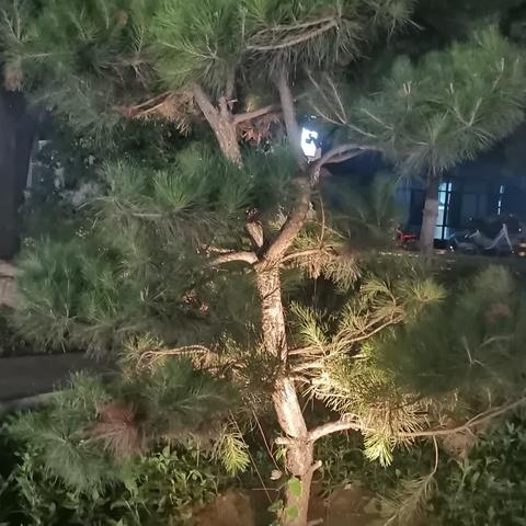 ↦X8tM7a6hFjHORvy↤