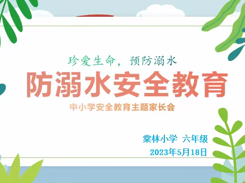 家校携手，共防溺水，棠林小学2023年5月18日防溺水家长会