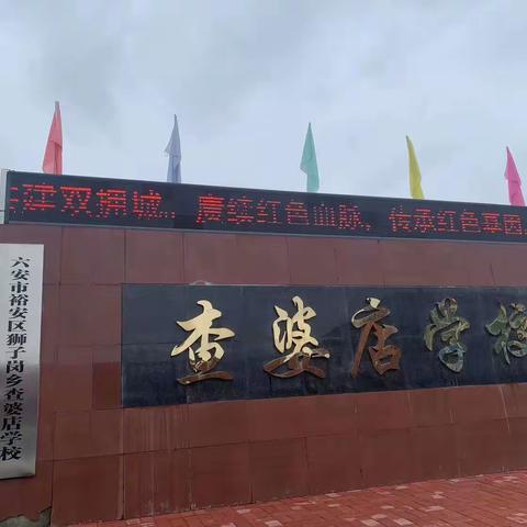 跟岗学习促成长，学思悟行共提升