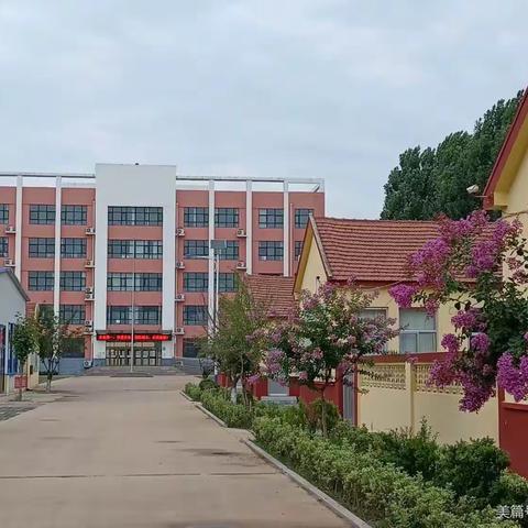 林家村镇瓦店小学体育工作总结