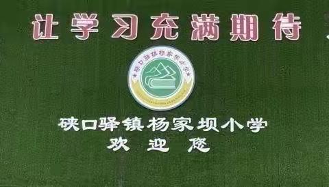 凝心聚力   务实笃行——硖口驿镇杨家坝小学第十五周工作总结