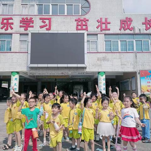 🌸时光不语  静待花开🌸——田幼大四班