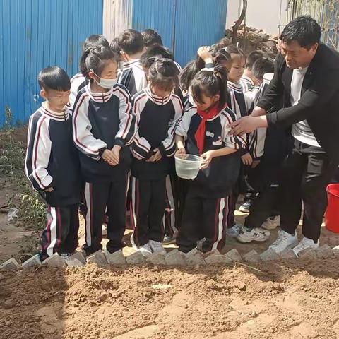 小菜园 大天地——经开区实验学校小学部一年级1班劳动实践基地动态