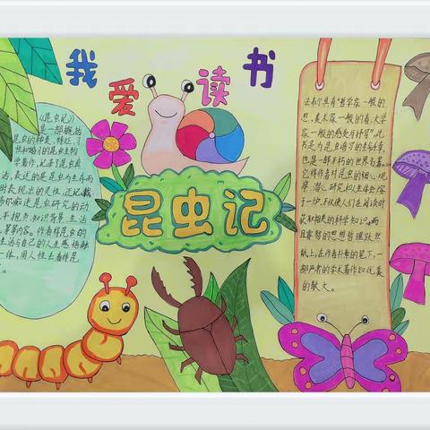 【灞桥教育 和雅赵小 】经典润童年 书香满校园——赵庄小学读书节手抄报评比活动