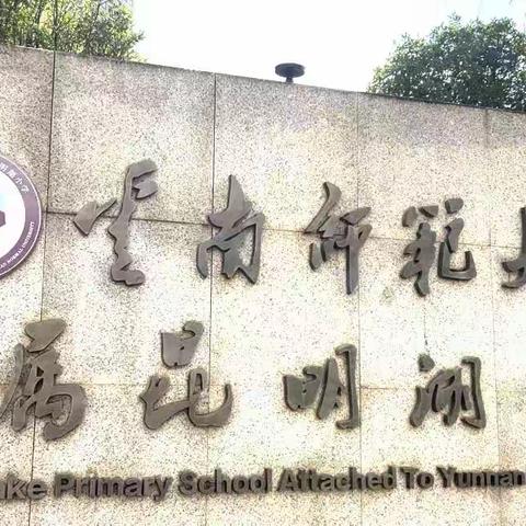 🌞初见小学，心向成长🌱