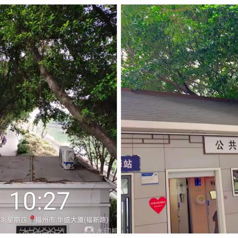 【泓欣行动】未雨绸缪，“靓顶治水”行动-全力做好防汛工作