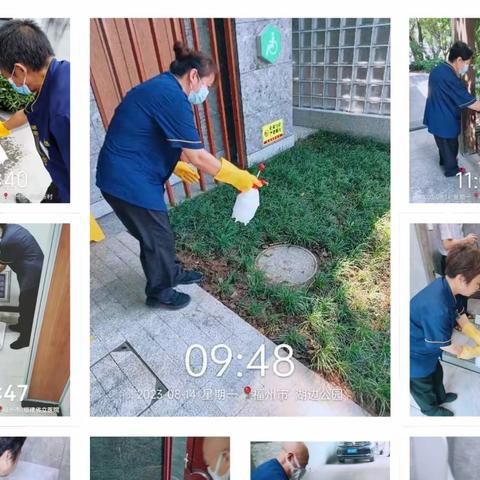 【泓欣行动】开展灭蚊行动  牢筑安全防线