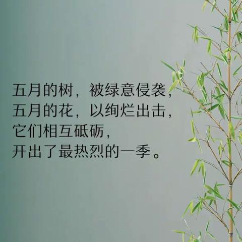 时光不语 静待花开——记德培小学第十五周工作