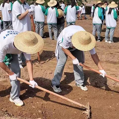 弘扬劳动精神，践行青年担当-太原市卫生学校2022级劳动实践活动