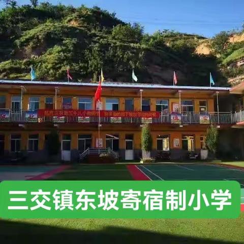 集团研讨促交流，导师引领向成长——三交东坡寄宿制学校开展导师团队进校园活动