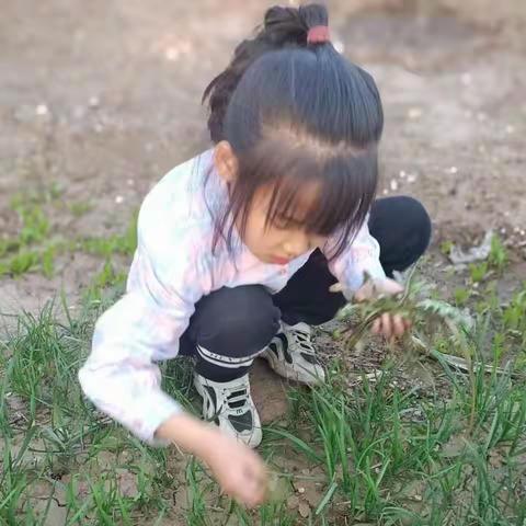 麟绛小学五一劳动节三6班纪实