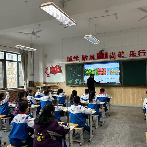 “研”途有光 “语”君共赏——九一小学南中环校区语文教研活动