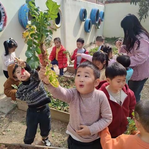 春日好风光