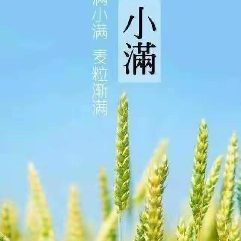 初夏迎小满，万物皆欢欣——平罗县红瑞幼儿园大班组——“小满”主题游戏活动