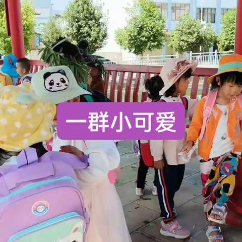 易门县欢谐幼儿园孩子们的徒步旅行记