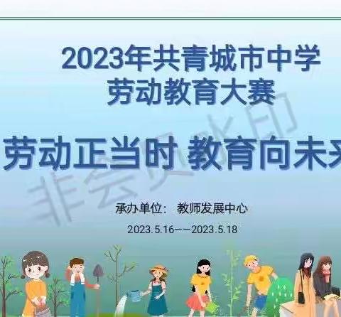 劳动正当时 教育向未来-记2023年共青城市中学劳动教育大赛