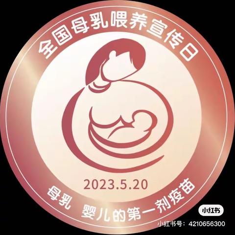 全国母乳喂养日宣传活动