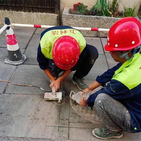 找寻查挖丨灵洞乡集镇巩固“污水零直排”建设成果