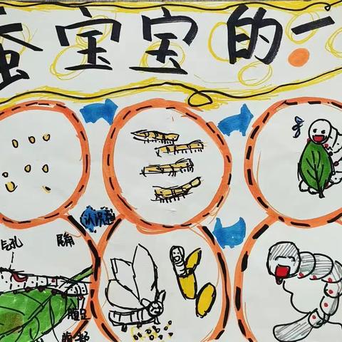 生命虽短暂，却精彩