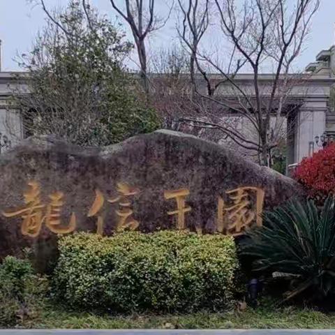 龙信玉园 9 月服务篇